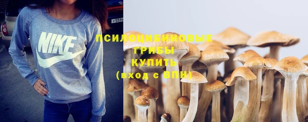 круглые Туринск